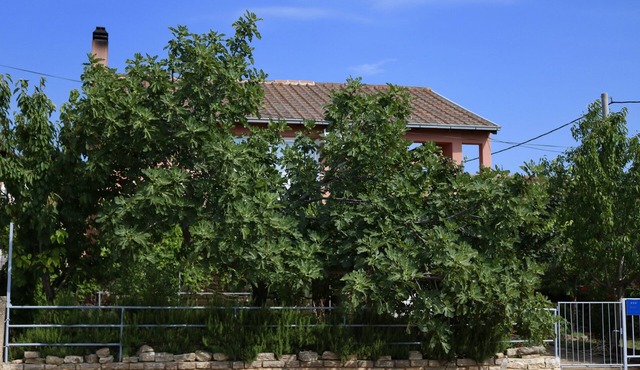 One bedroom apartment with terrace Gornji Karin, Novigrad (A-11806-a)