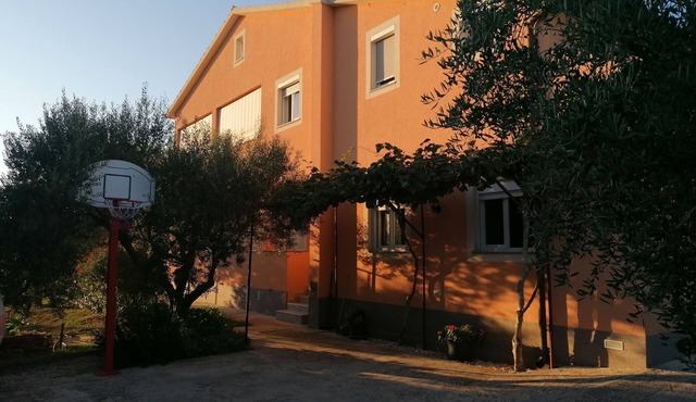 One bedroom apartment with terrace Pula (A-7420-a)