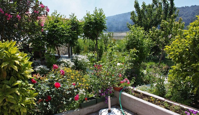 One bedroom apartment with terrace and sea view Kampor, Rab (A-4972-a)