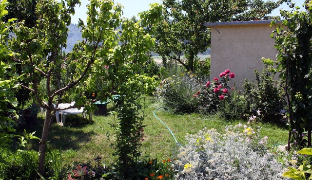 One bedroom apartment with terrace and sea view Kampor, Rab (A-4972-b)