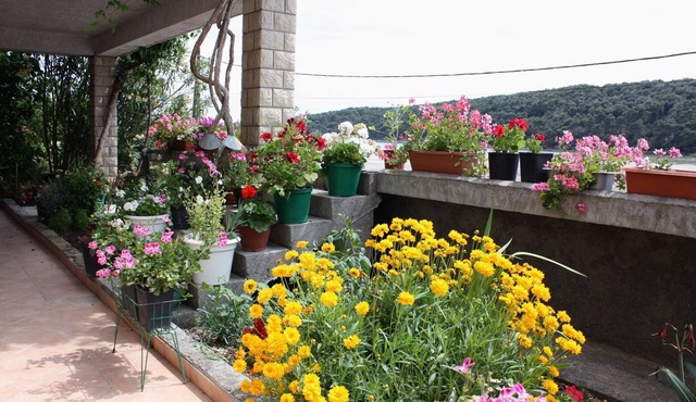 One bedroom apartment with terrace and sea view Kampor, Rab (A-4984-b)