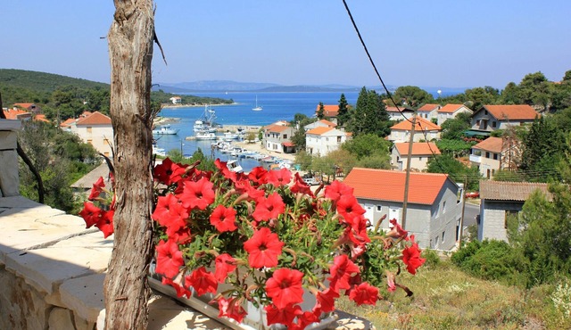One bedroom apartment with terrace and sea view Žman, Dugi otok (A-887-c)
