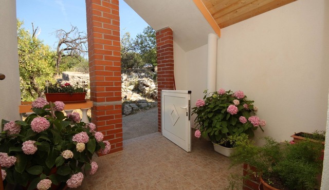One bedroom apartment with terrace Sali, Dugi otok (A-8153-a)