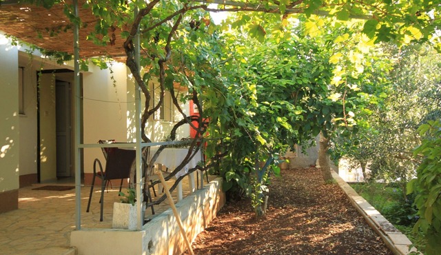 One bedroom apartment with terrace Rukavac, Vis (A-8897-b)