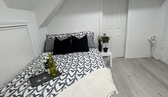 One bedroom basement suite (bus stop right outside)