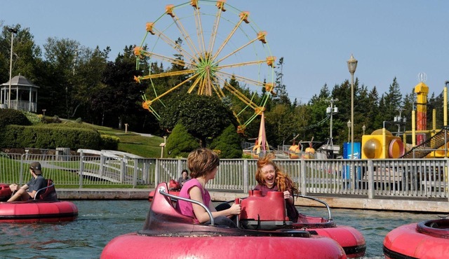 One Bedroom Deluxe Cottage - Sleeps 4