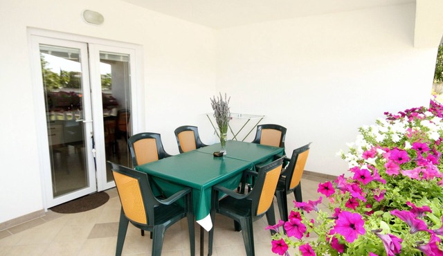 One bedroom apartment with terrace Seline, Paklenica (A-6603-b)