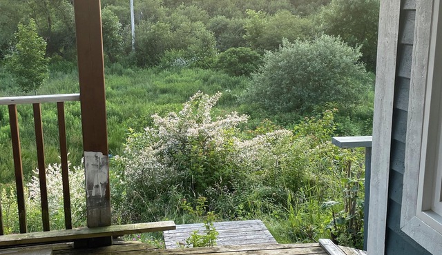 One executive bedroom apartment(sofa bed included in living area)