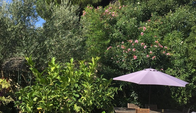 ONE FLOOR APARTMENT IN HOUSE WITH GARDEN