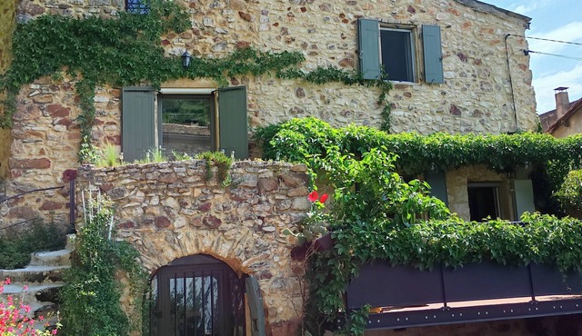 One foot in the forest