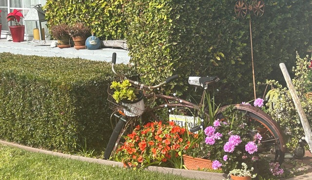 One Mile to the Coast in North County! Lovely Single Story, Family Friendly!