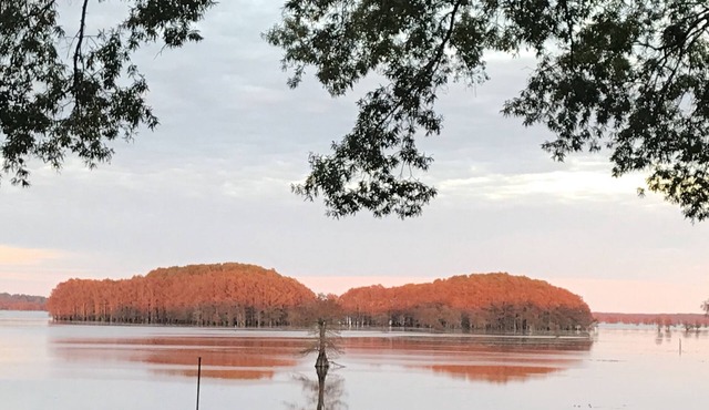 One-of-a-Kind Caddo Lake Retreat with Spectacular Waterfront Views