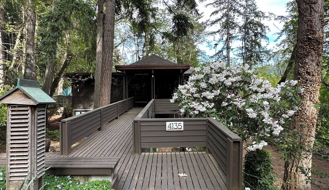 One of a kind home in the trees! 3-bedroom home in Eugene with WiFi, AC