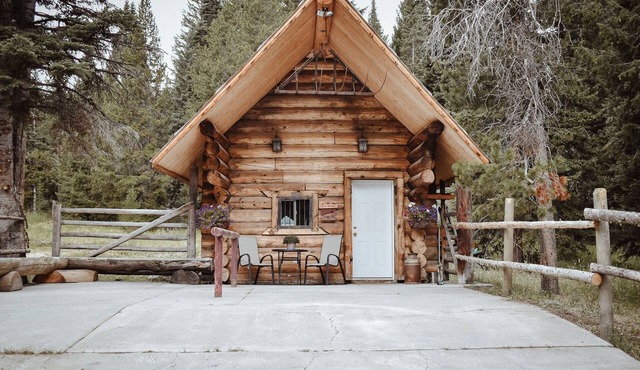 One of a kind, rustic cabin with rodeo and private pond on site~7 miles to YNP!