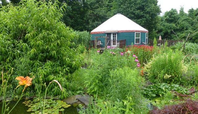 One-Of-A-Kind Yurt Surrounded by Waterfalls
