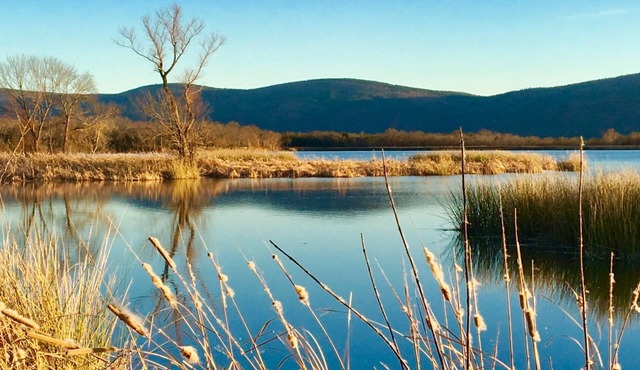 One of the Best You’ll Find! Peace & Quiet - Comfort & Charm;