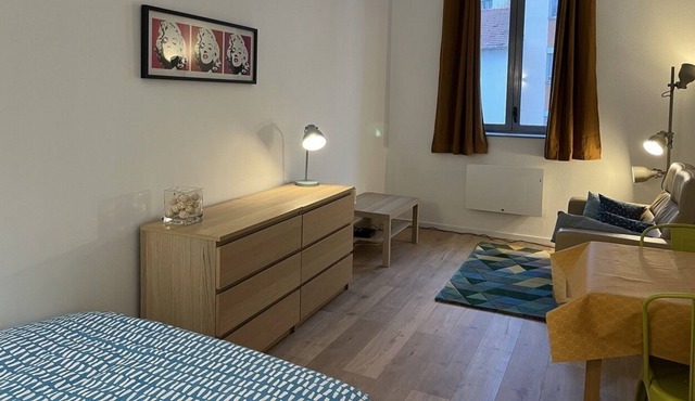 One room bedroom renovated and equipped near metro, parc and shops
