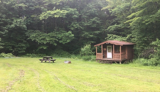 One Room Log Cabin in beautiful Woodland Campground