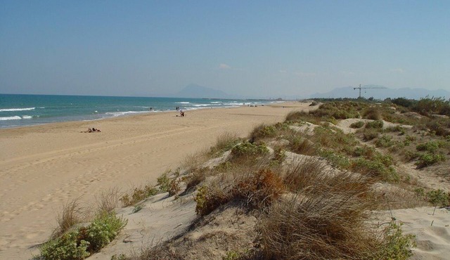 Only 20m to the dune beach, sea views, pool, betw. Oliva and Gandia seafront