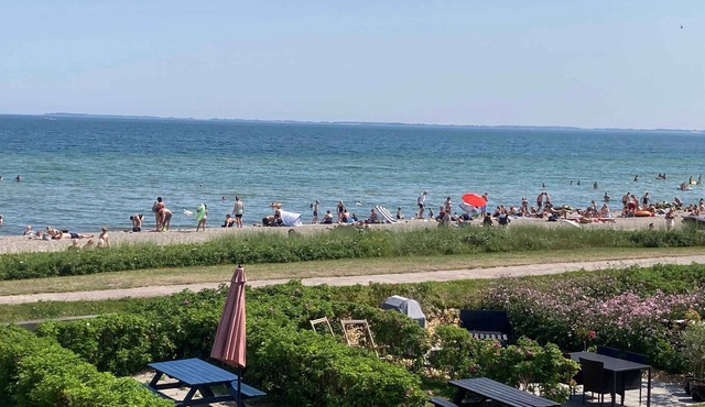 Only 50 meters to the beach. Enjoy being awakened by gentle waves.