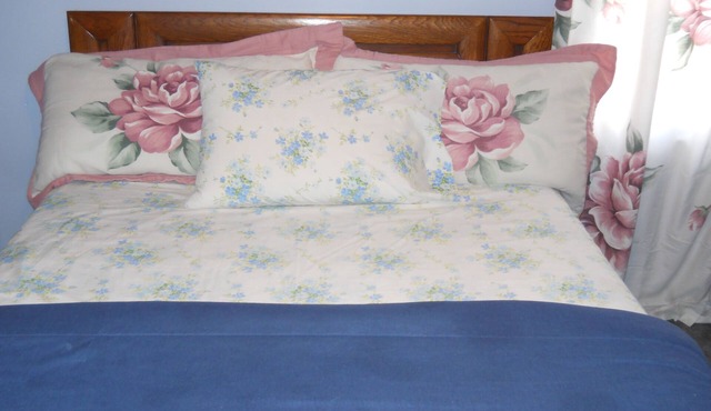 ONLY 6 MILES SOUTH OF DOWNTOWN DETROIT! 3 BEAUTIFUL BEDROOMS IN A BUNGALOW!