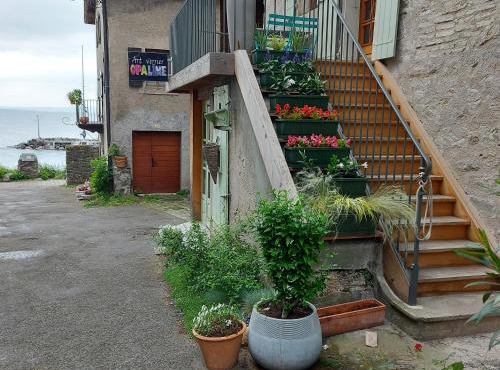 Opaline Yvoire Terrasse avec vue sur le Lac Léman