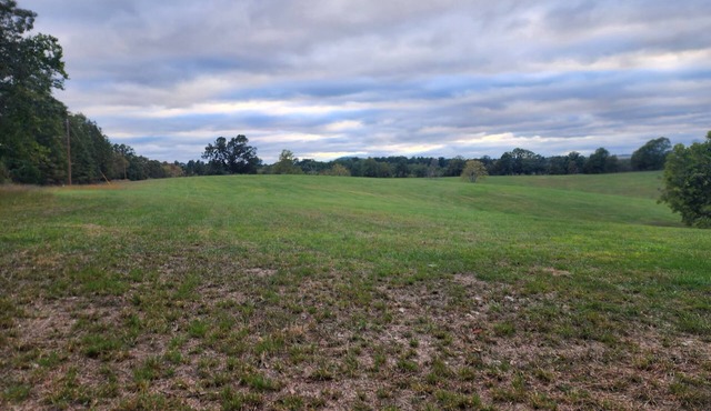 Open Field for camping and star gazing. No amenities or services are provided.