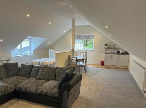 Open plan Studio Apartment