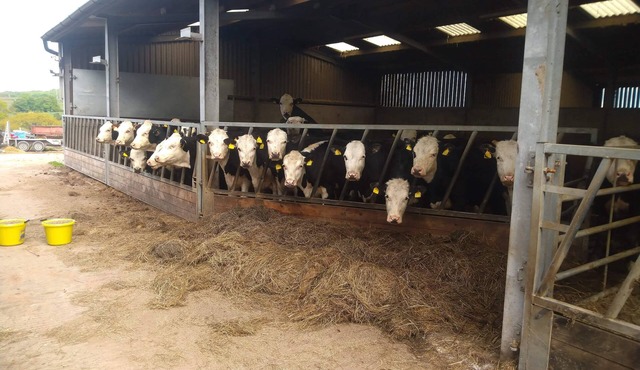 Open Plan Studio by Alton Towers