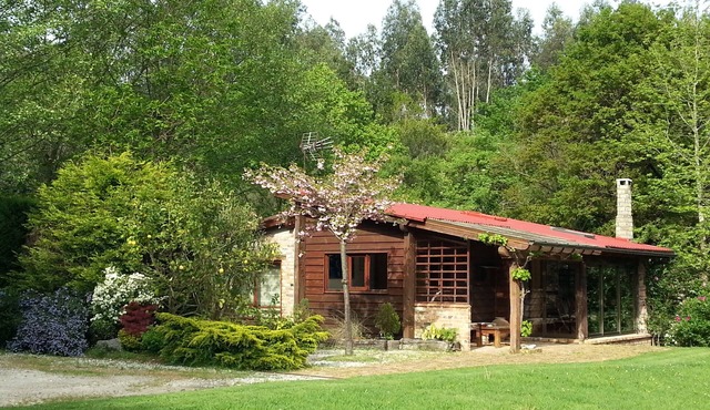 OPPORTUNITY IN SEPTEMBER! BEAUTIFUL DETACHED HOUSE WITH GARDEN. MASCOTAS