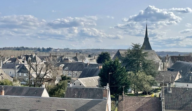Opposite Château de Chaumont sur Loire