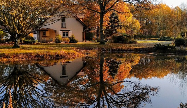 Orée du Bois en Sologne