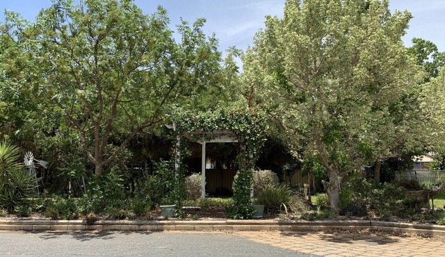 Orana Windmill Motel