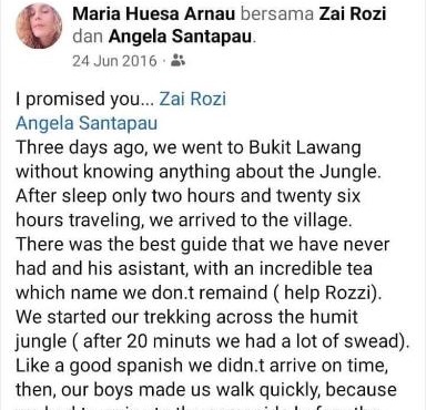 Orang Utan Jungle hiking