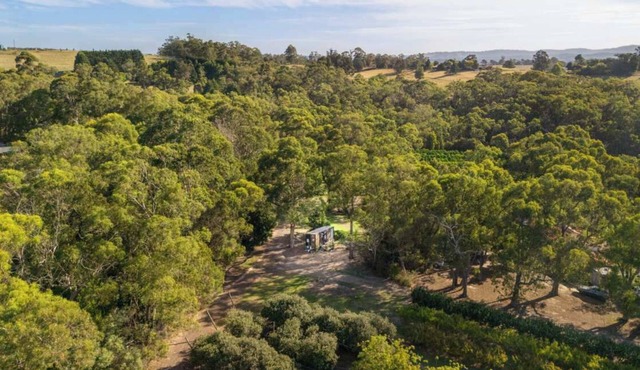 Orange 1 by Tiny Away