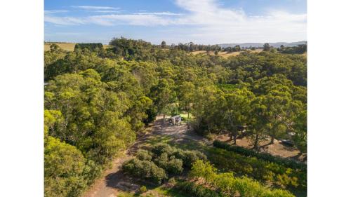 Orange 1 by Tiny Away