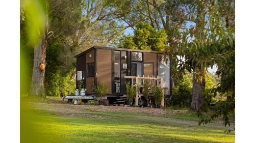 Orange 2 by Tiny Away