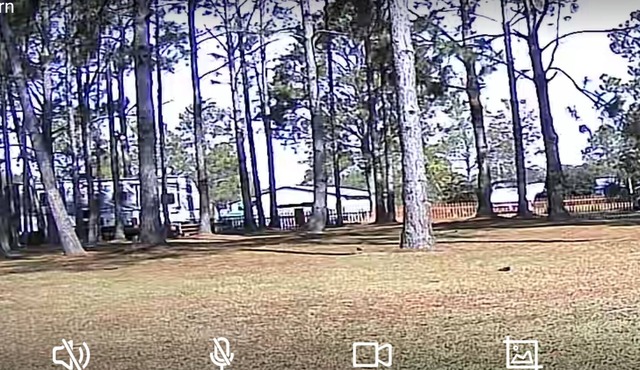 Orange Beach/Gulf Shores Primitive Camping Area.