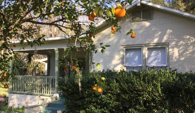 Orange Blossom in Historic McIntosh