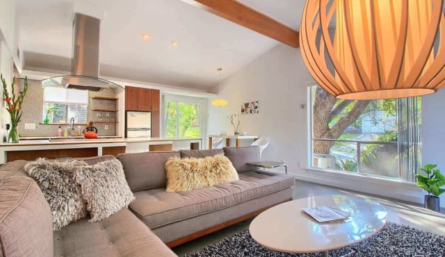 Orange Crush | SoCo Mid-Century Pet Retreat