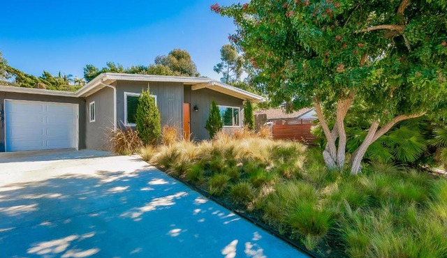 Orange Door Oasis
