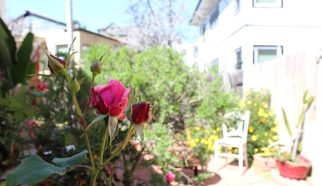 Orange Tree Cottages Downtown