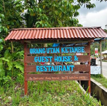 Orangutan Ketambe Guesthouse & Restaurant