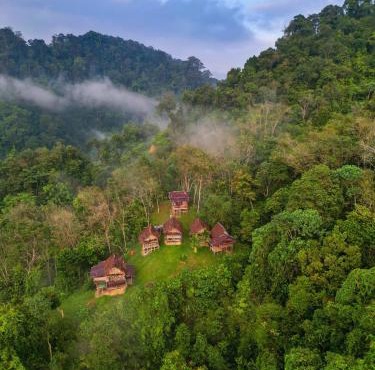 ORANGUTANTREKSUMATRA & LOVELY JUNGLE LODGE only book IF you are treking with us