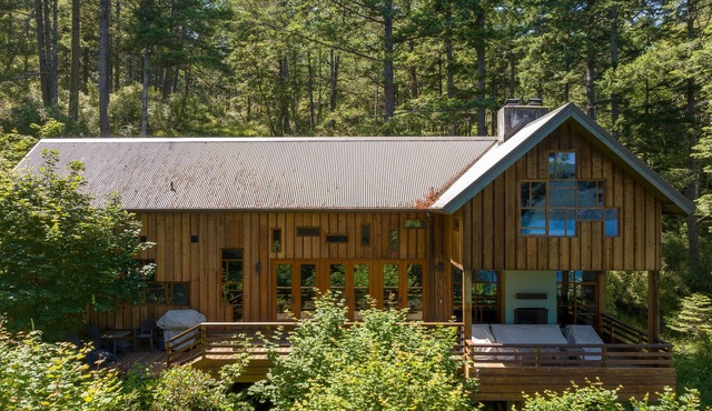 Orcas Island, Cedar Sunrise #222