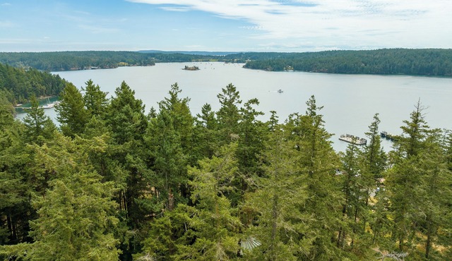 Orcas Island, Orcas Hill House #297