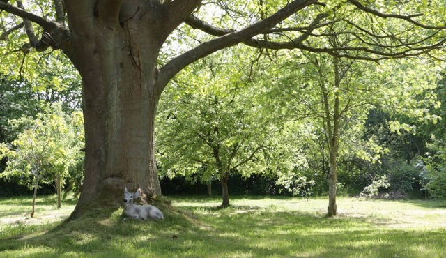 ORCHARD COTTAGE, family friendly, with a garden in Kerry