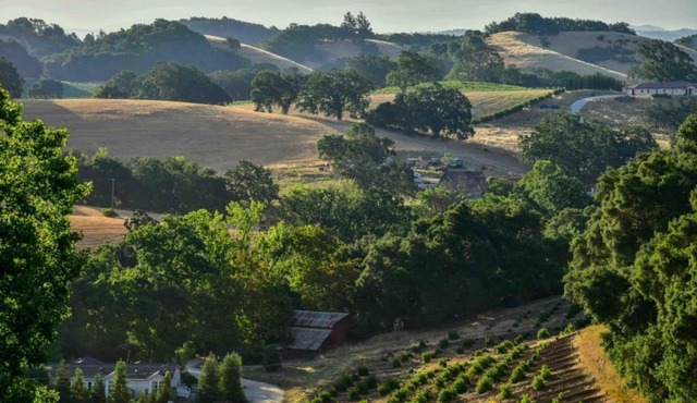 Orchard Hill Farm-Elegant Comfort in Desirable West Side Paso Robles!