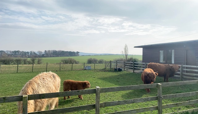 Orchard House Lodges