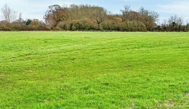 Orchard House - UK48580